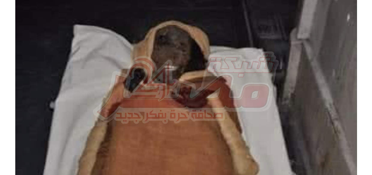 خبير آثار: إهانة ملك مصرى هى إهانة لكل مصرى وجريمة تستوجب العقاب الرادع 